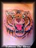 tiger2.jpg