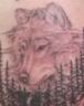 wolf1.jpg